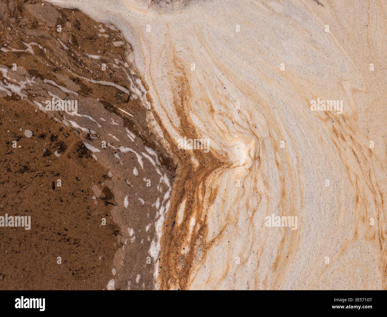 Fond abstrait de mousse de mer et de texture de sable avec des motifs côtiers organiques Banque D'Images