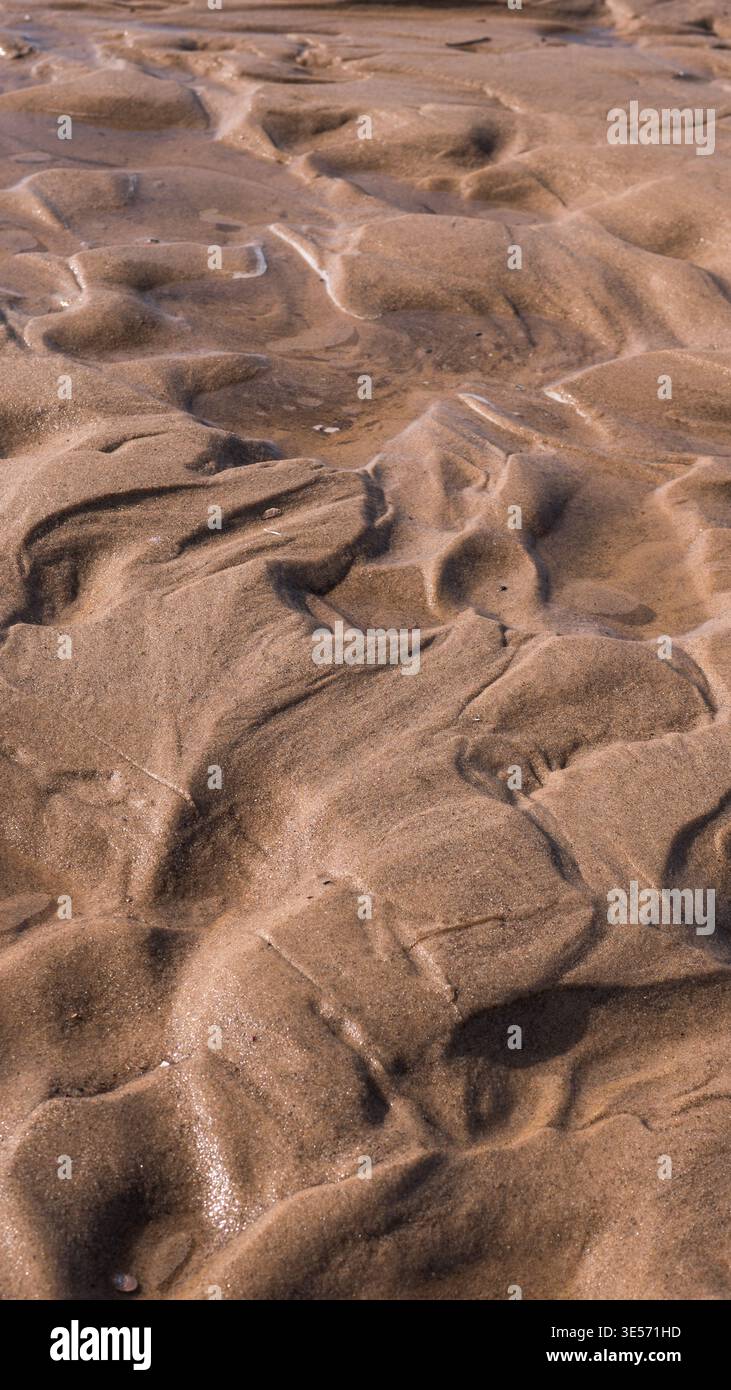 Sable de plage humide avec texture d'érosion naturelle et motifs organiques Banque D'Images