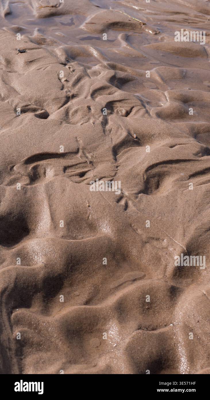Sable de plage humide avec texture d'érosion naturelle et motifs organiques Banque D'Images