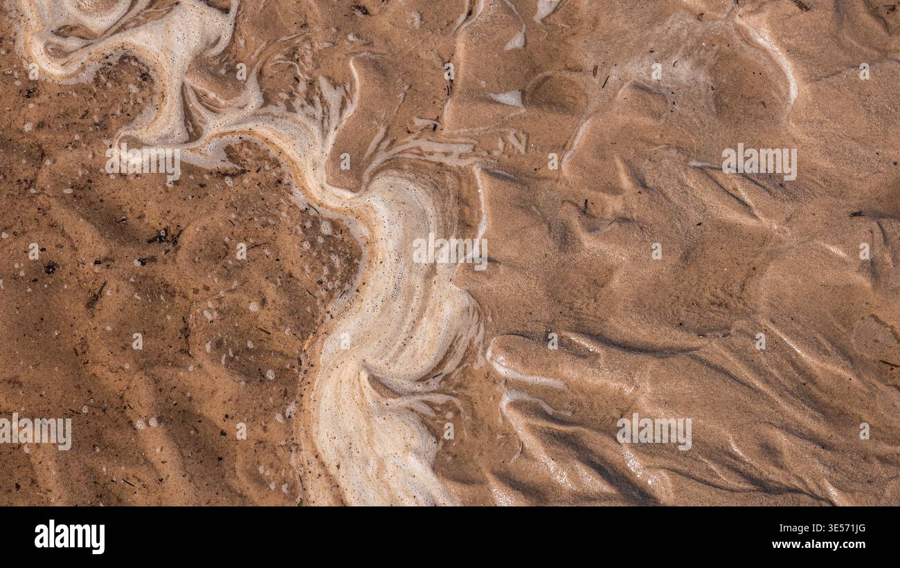 Motif abstrait de mousse de mer sur fond de texture naturelle de plage de sable humide Banque D'Images