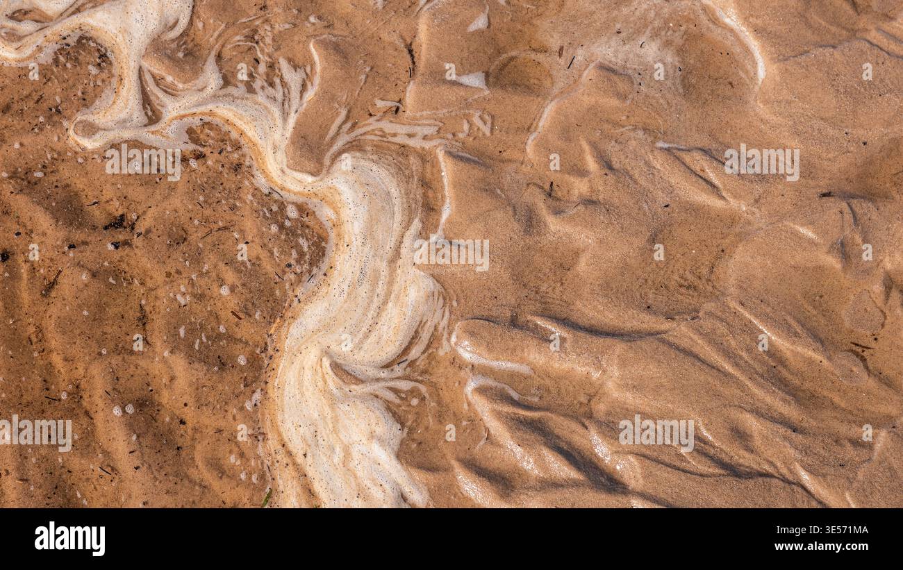 Motif abstrait de mousse de mer sur fond de texture naturelle de plage de sable humide Banque D'Images