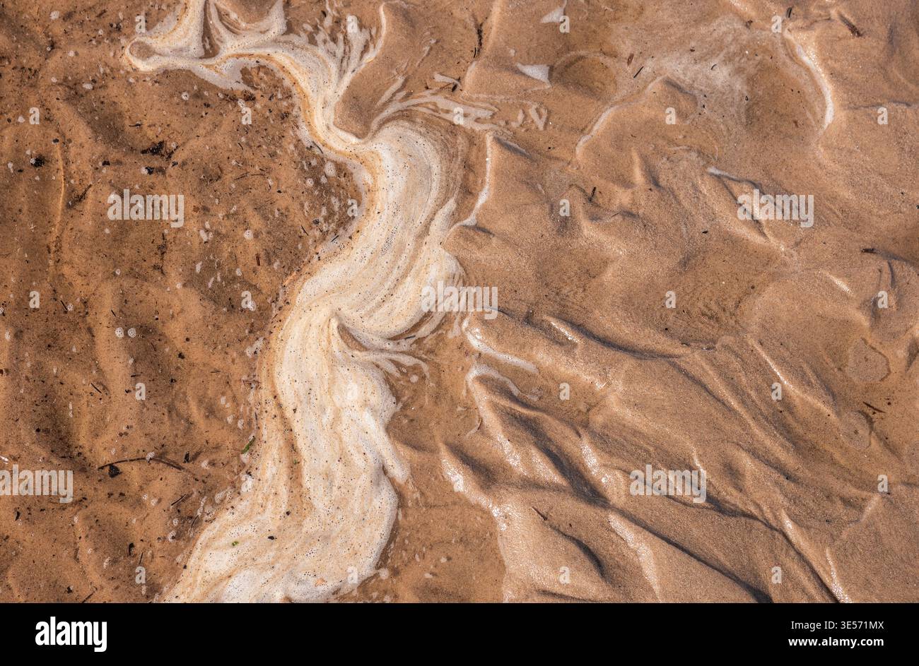 Motif abstrait de mousse de mer sur fond de texture naturelle de plage de sable humide Banque D'Images