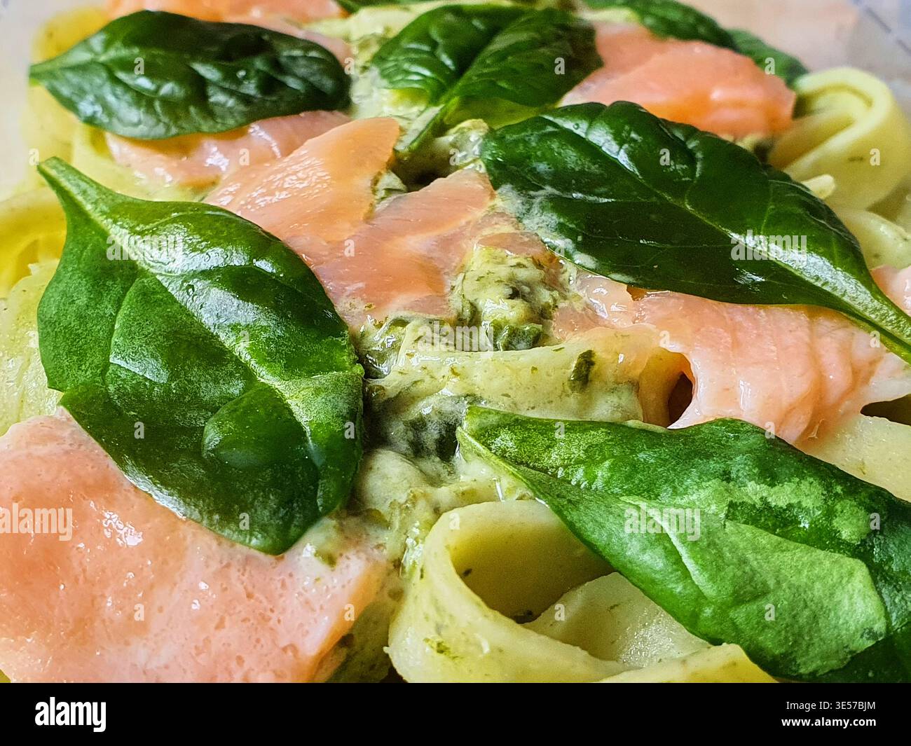 Gros plan macro d'un plat de pâtes fraîches italiennes avec des nouilles tagliatelles garnies de tranches de saumon fumé rose et de basilic vert éclatant Banque D'Images
