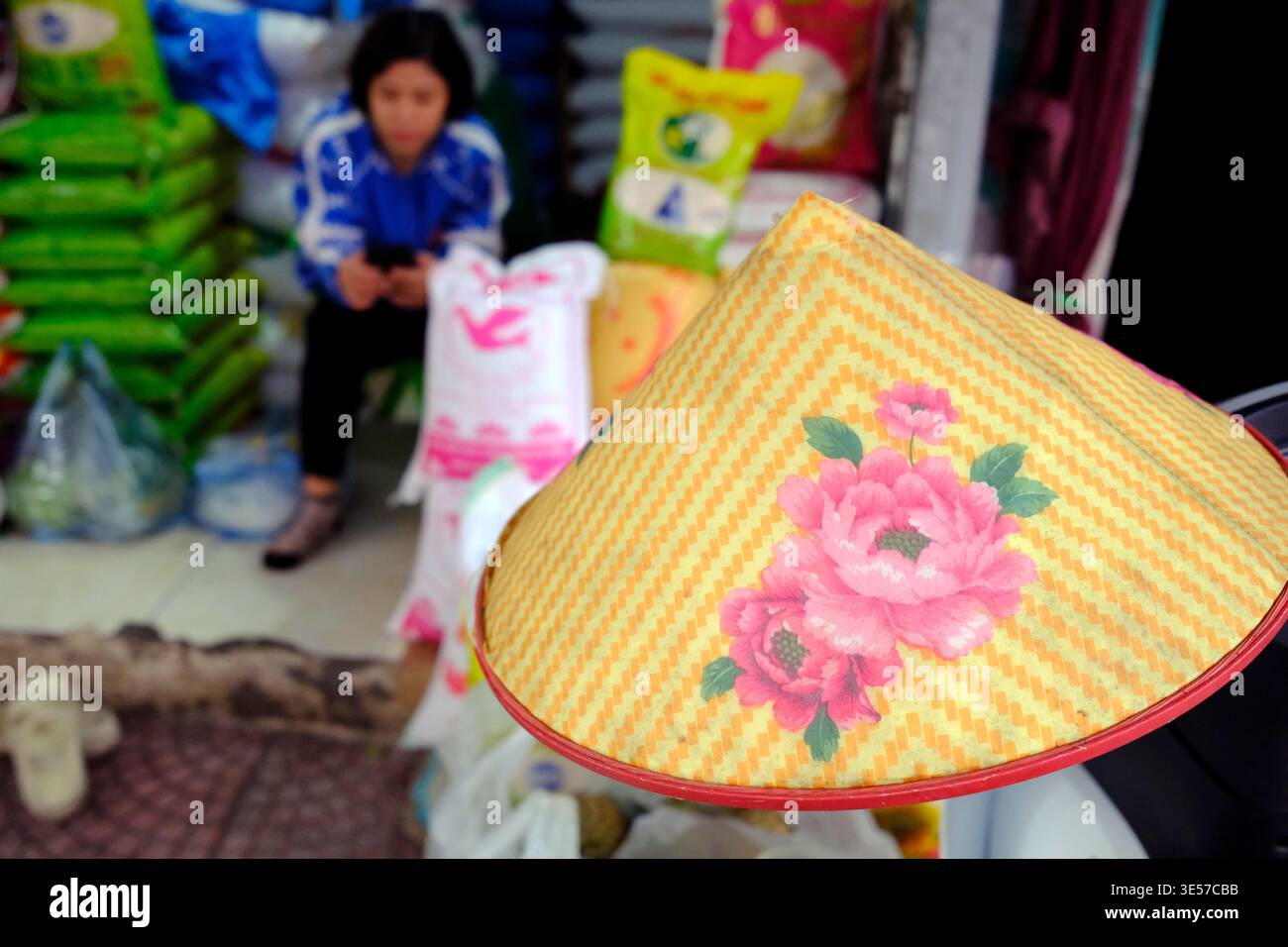 Chapeau conique traditionnel décoré de roses. Hanoi. Vietnam. Banque D'Images