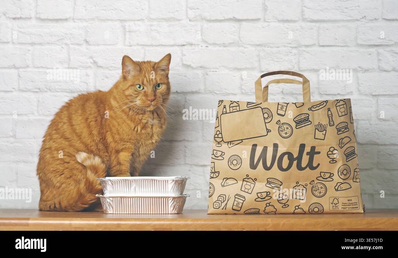 Neu-Ulm, Allemagne - 31 mars 2026 : chat au gingembre affamé assis à côté d'un sac en papier du service de livraison de nourriture Wolt. Banque D'Images