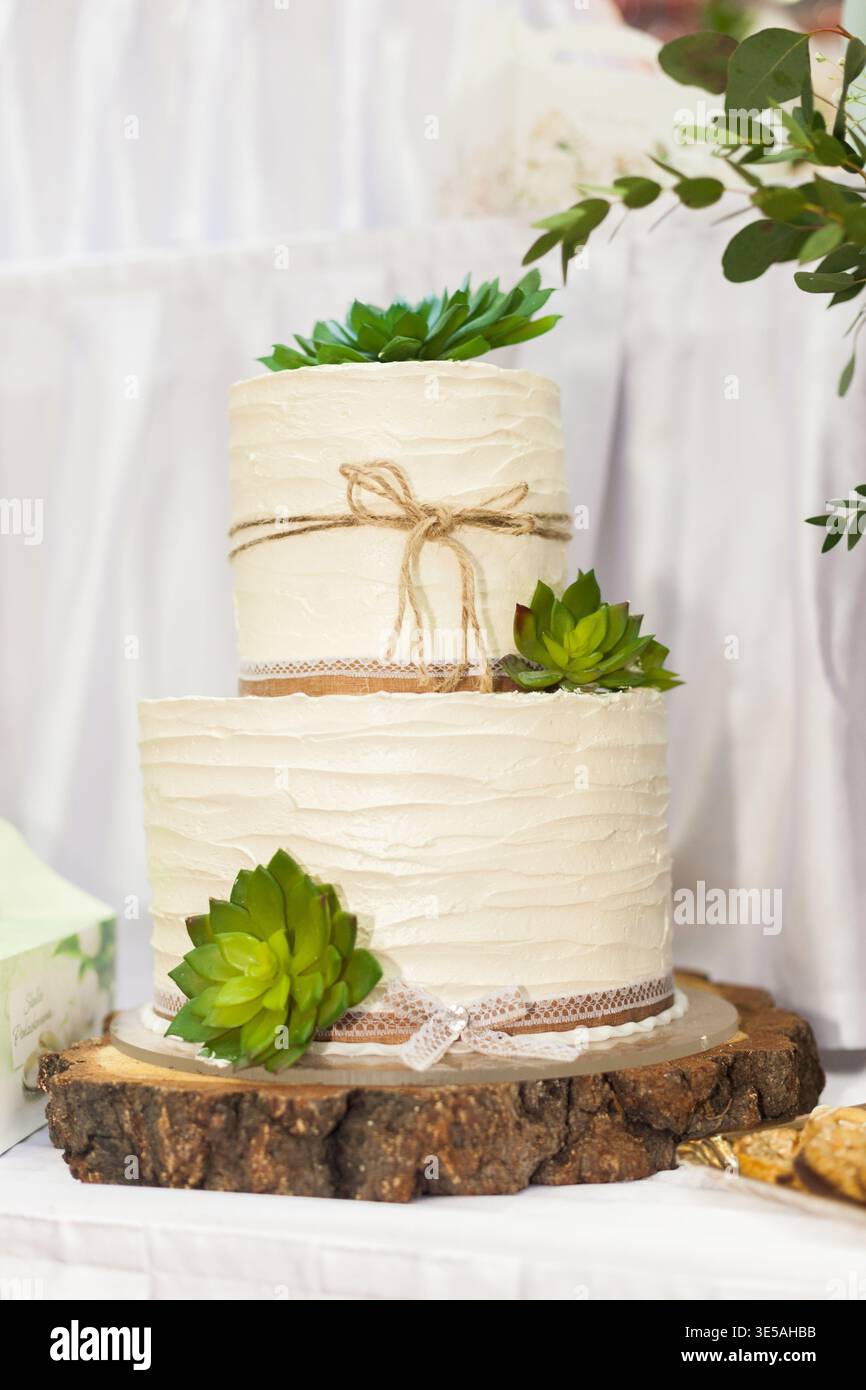 Un gâteau de mariage blanc à deux niveaux dans un style rustique, décoré avec des succulentes vertes, de la ficelle de jute et du ruban de dentelle, placé sur un support de gâteau en tranches de bois naturel. C Banque D'Images