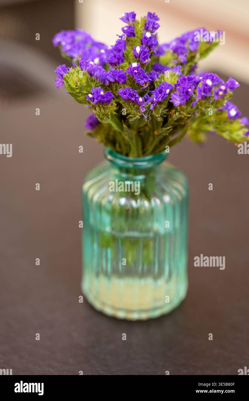 Gros plan de fleurs violettes dans un vaisseau transparent sous une lumière douce. Arrière-plan flou du parc. Concept d'art floral, beauté botanique et hospi Banque D'Images