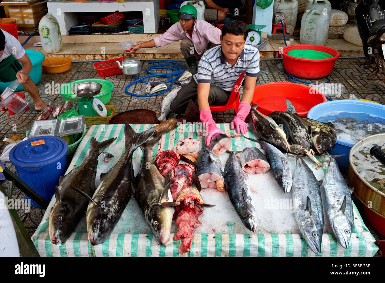 Un homme trie du poisson frais dans un marché à Phu Quoc Vietnam. D'autres préparent leurs étals et exposent des fruits de mer pour la vente. Banque D'Images