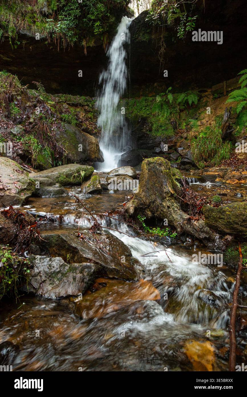 La cascade de Yad sur Maspie Burn sur le domaine de Falkland près de Falkland Fife Écosse Banque D'Images