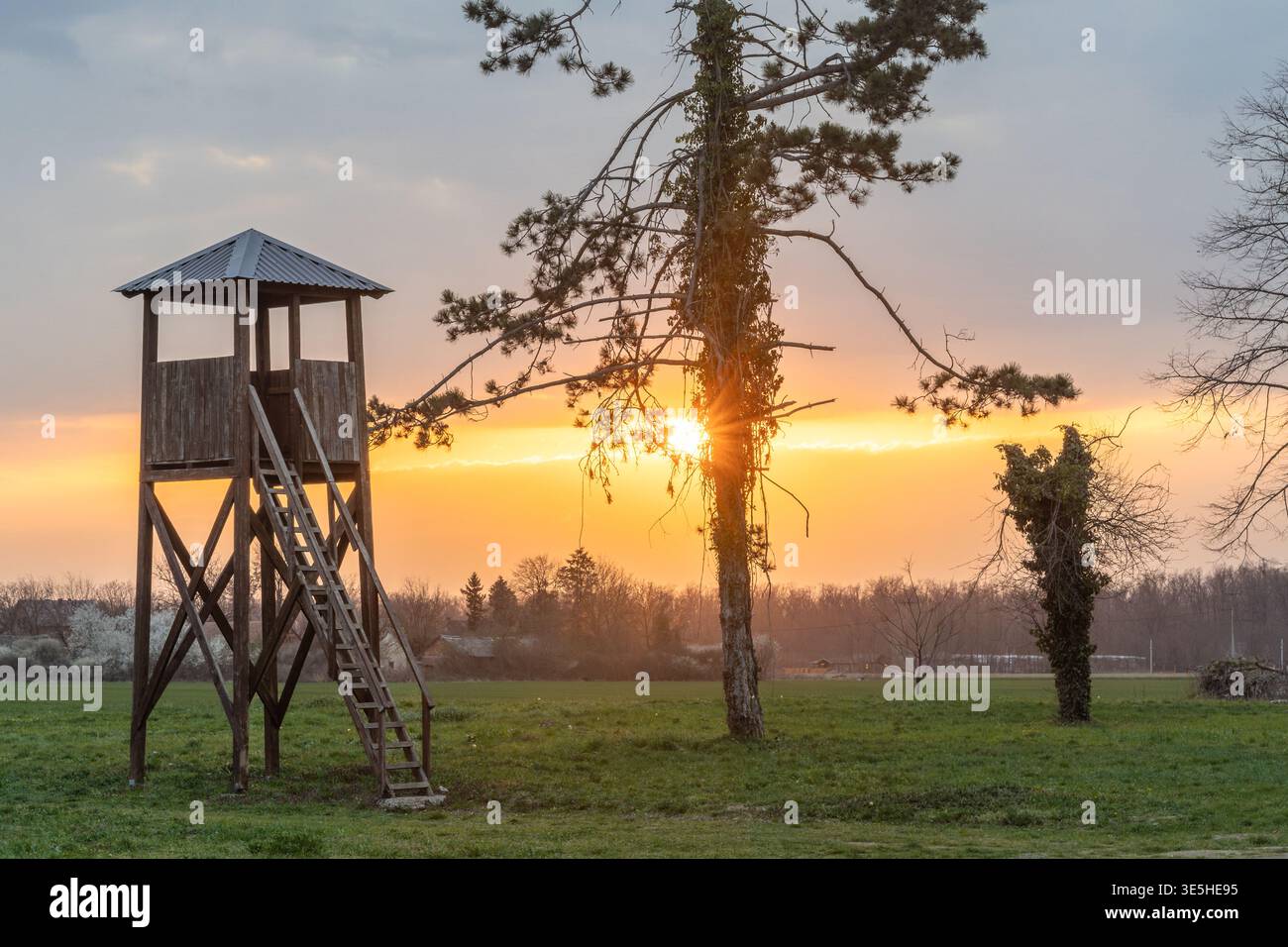 Tour de guet en bois se dresse dans une prairie rurale au lever du soleil, projetant une lumière chaude à travers les champs et les arbres lointains. Scène de campagne sereine avec ciel dramatique, Banque D'Images