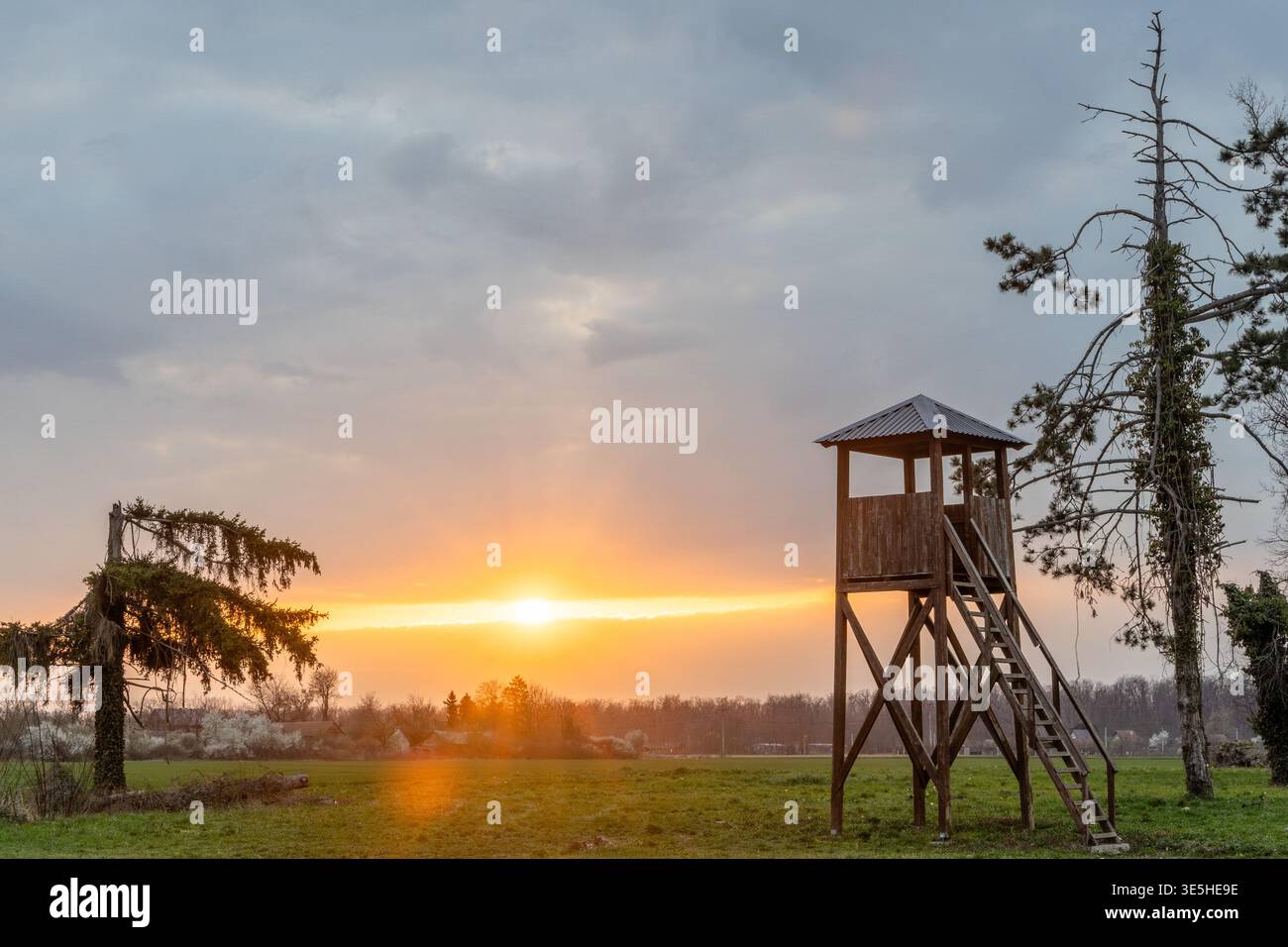 Tour de guet en bois se dresse dans une prairie rurale au lever du soleil, projetant une lumière chaude à travers les champs et les arbres lointains. Scène de campagne sereine avec ciel dramatique, Banque D'Images