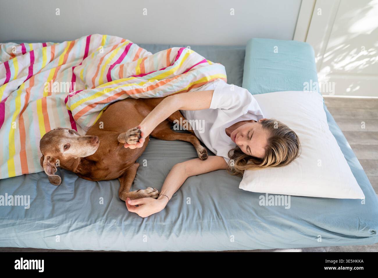 Femme rêveuse calme profitant du temps paresseux du matin au lit avec chien Vizsla, moments joyeux avec animal de compagnie. Banque D'Images
