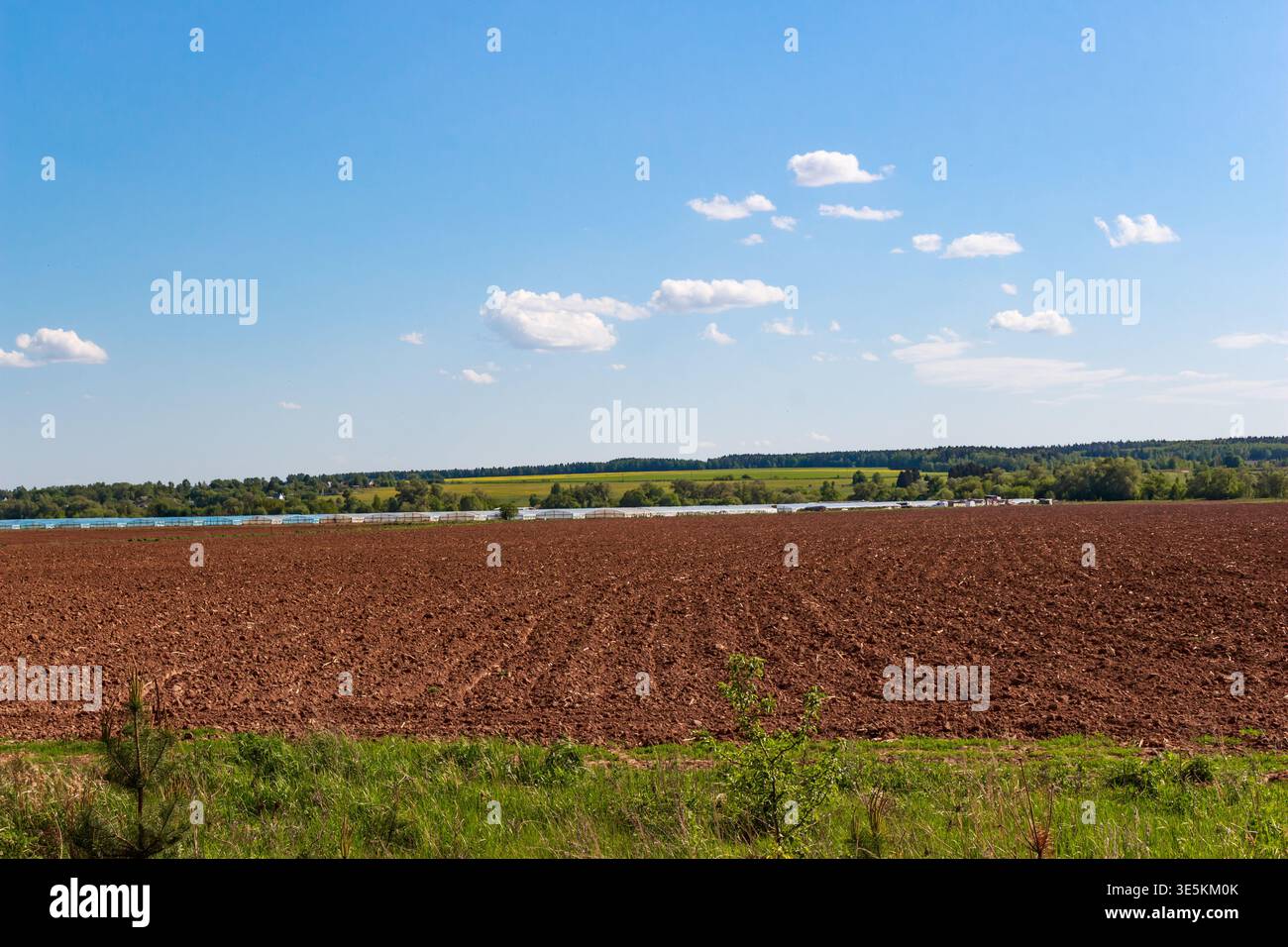 Champ fraîchement labouré sous un ciel bleu vibrant avec des nuages moelleux. Vaste terrain agricole prêt pour la plantation, s'étendant vers une ligne d'arbres lointaine et gr Banque D'Images