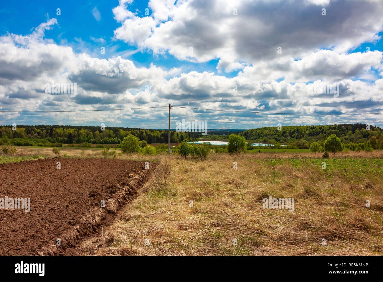 La terre brune fraîchement labourée rencontre un champ d'herbe sèche embrassée par le soleil sous un ciel bleu vif rempli de nuages blancs moelleux, évoquant le renouveau printanier an Banque D'Images