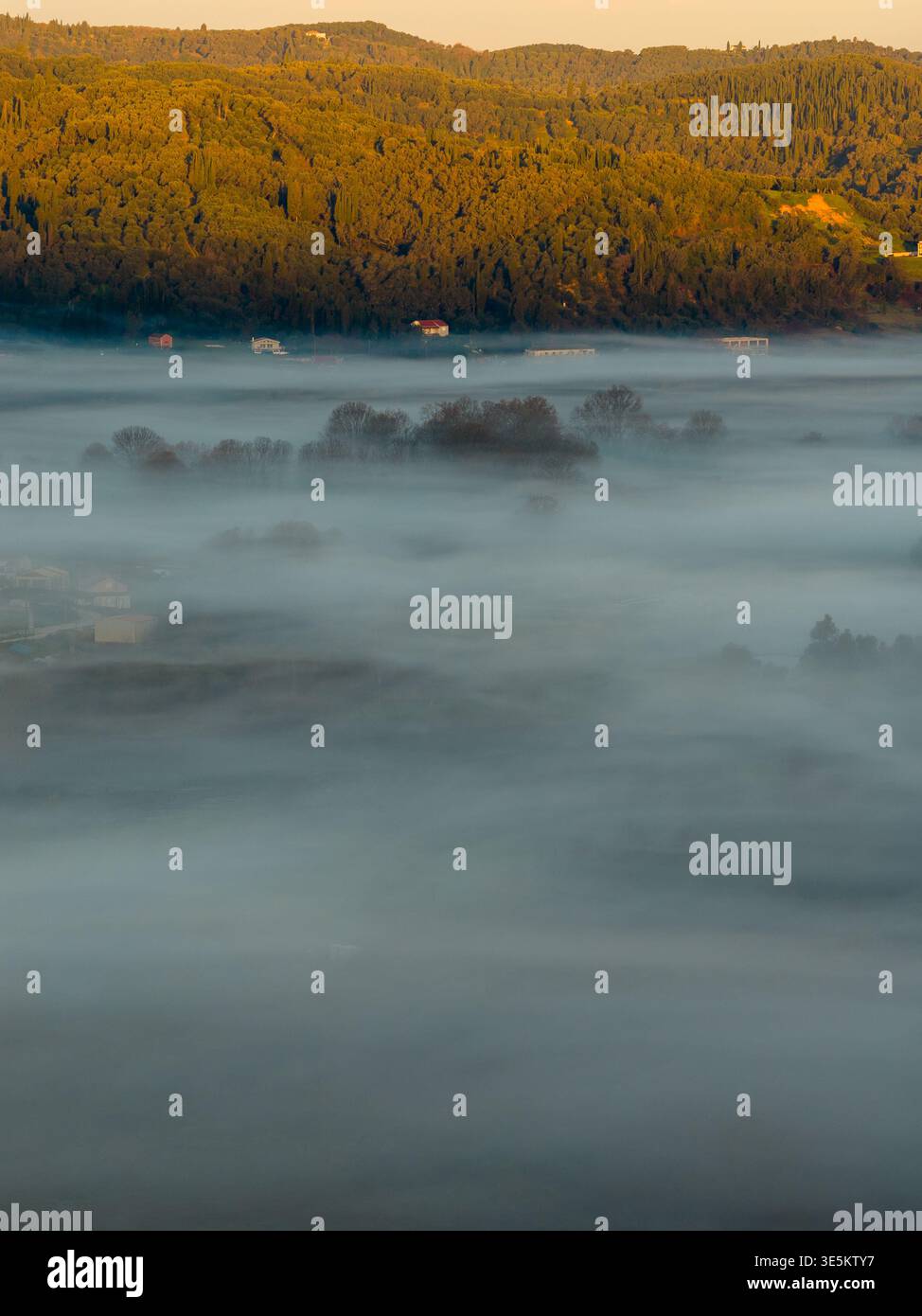 Vue aérienne rapprochée d'un épais brouillard matinal couvrant les arbres et les champs avec la lumière dorée du soleil sur les collines du nord de Corfou, en Grèce Banque D'Images