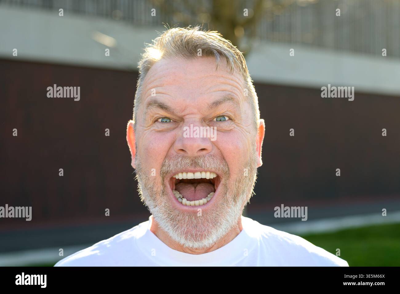 Portrait expressif d'un homme mûr criant avec la bouche grande ouverte dans la lumière naturelle du soleil extérieur. Banque D'Images