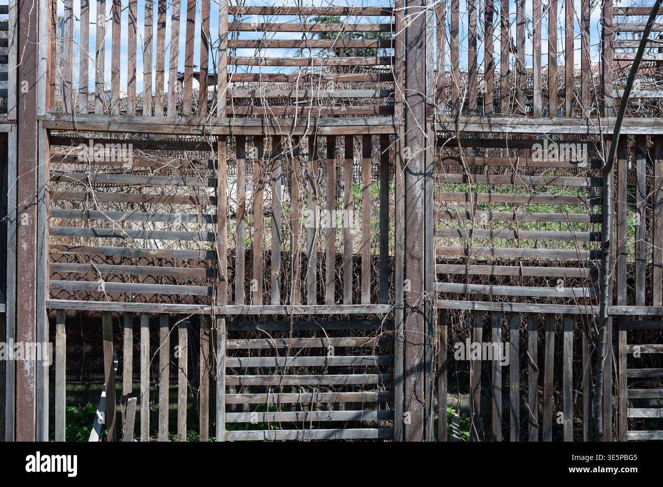 Structure de clôture à lattes en bois rustique avec des vignes sèches et un motif de grille géométrique. Banque D'Images