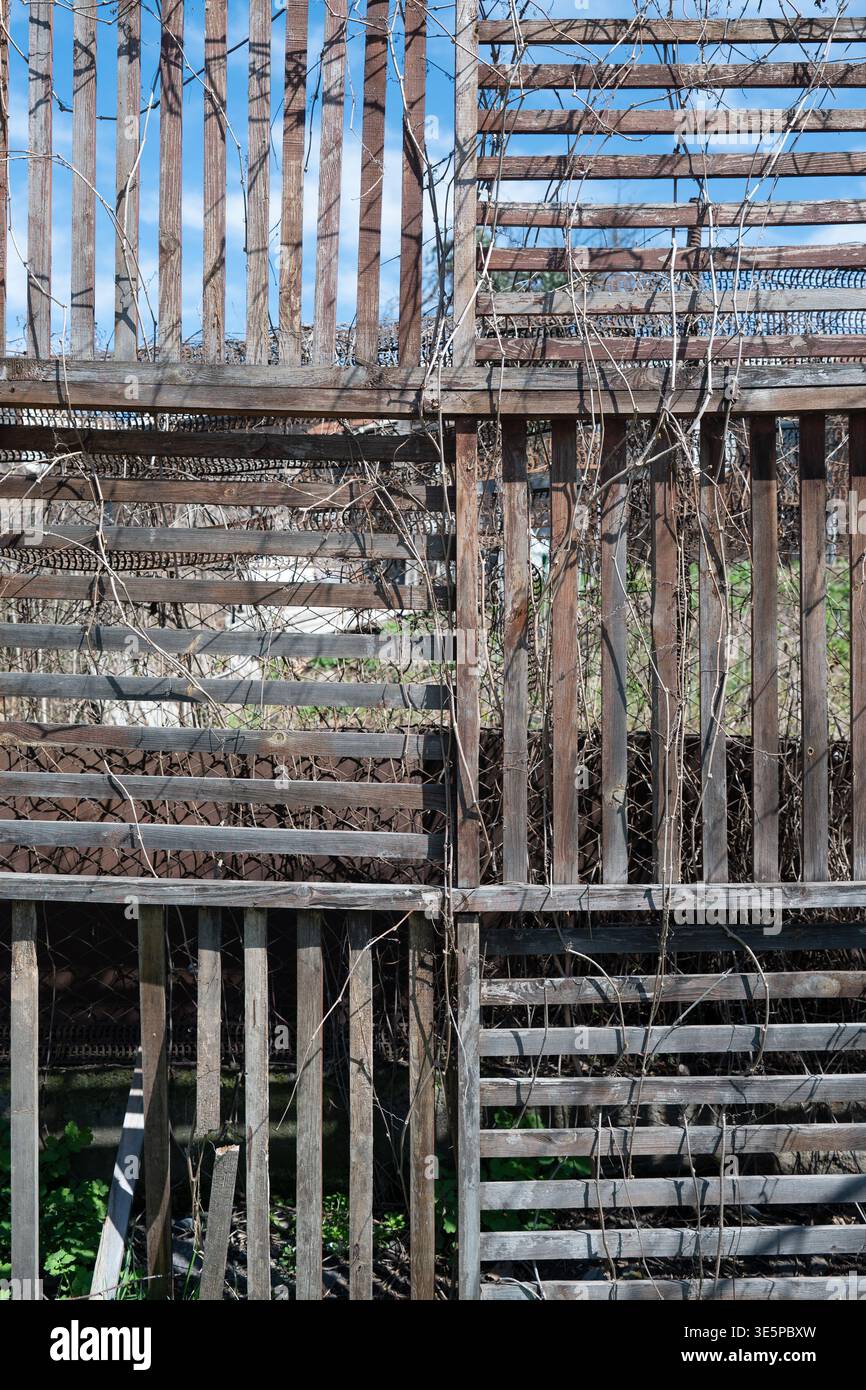 Structure de clôture à lattes en bois rustique avec des vignes sèches et un motif de grille géométrique. Prise de vue verticale Banque D'Images