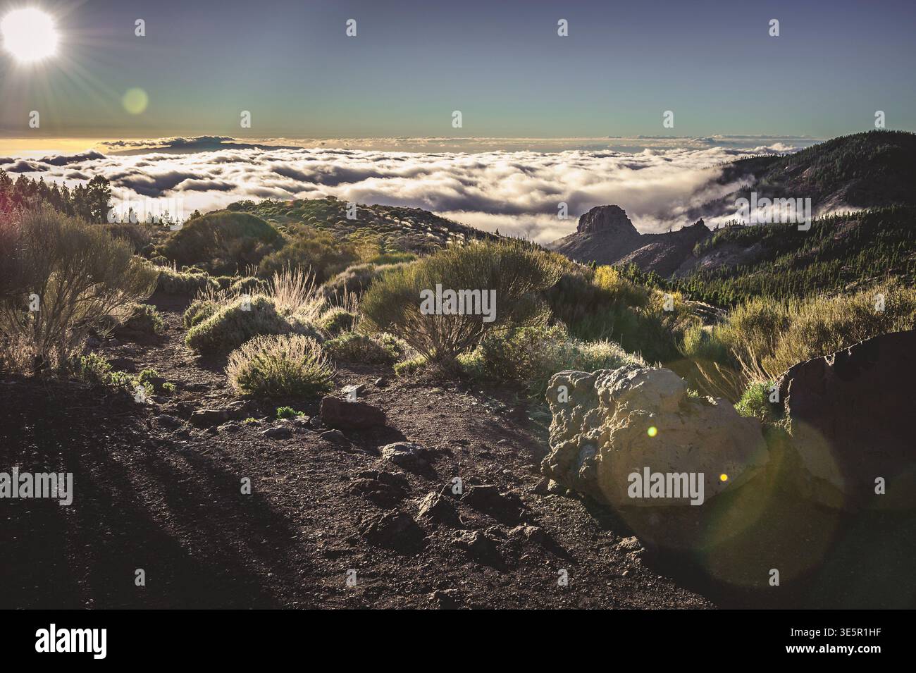 Paysage spectaculaire de Tenerife avec de hautes montagnes s'élevant au-dessus des nuages et des paysages volcaniques accidentés dans le parc national du Teide. Banque D'Images