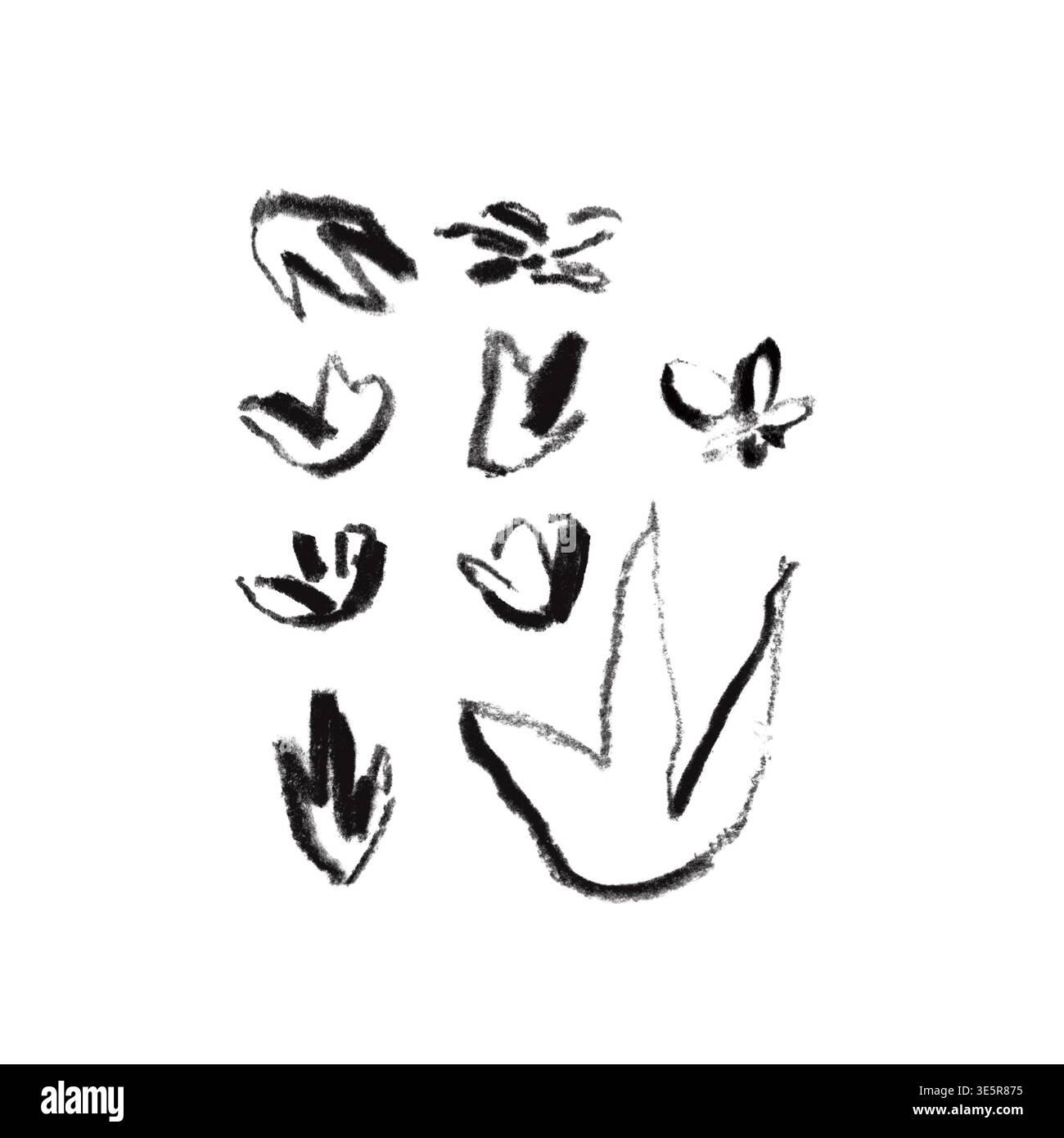 Icônes florales dessinées à la main, ensemble de formes botaniques au charbon de bois, minimal Boho PNG Banque D'Images
