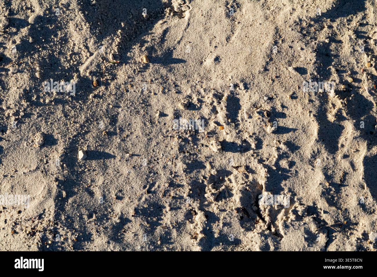 Texture de la surface de la route de terre sablonneuse, fond de sol sec rugueux avec sol brun gris, gravier et petites pierres vue aérienne Banque D'Images