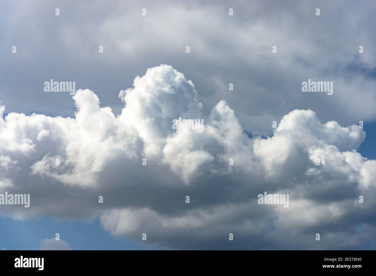 Cumulus nuages blancs bofies imposants dans un fond de ciel bleu clair. Banque D'Images