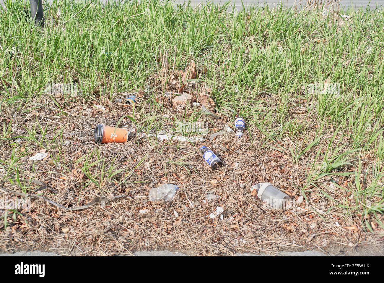 Déversement illégal en bord de route : gobelets en plastique et bouteilles en verre parmi l'herbe verte. Un regard brutal sur la négligence environnementale dans les espaces publics. Banque D'Images