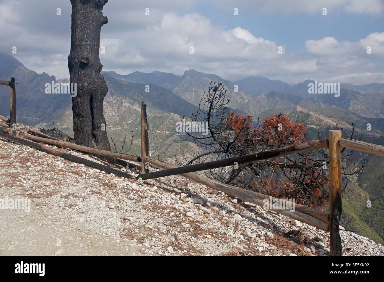 Andalousie en Espagne : la route de Puerto de Colado montrant les dégâts de l'incendie du 29 juin 2014 Banque D'Images