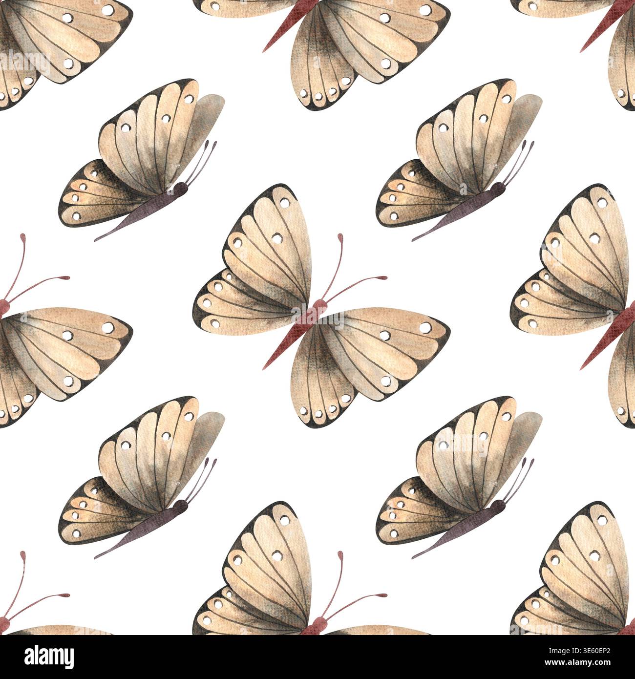 Motif aquarelle sans couture avec des papillons beiges avec des ailes pliées. Illustration dessinée à la main d'insectes tropicaux dans un style simple et coloré pour fabr Banque D'Images
