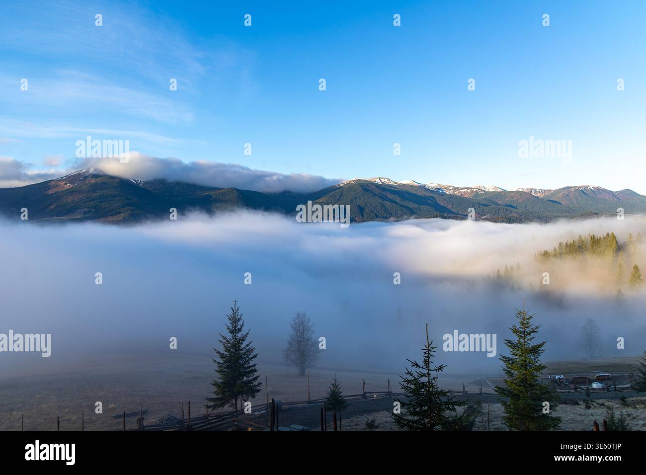 Brouillard sur Mountain Valley sous Blue Sky. Large panorama de montagne avec brouillard dérivant à travers la vallée, arbres à feuilles persistantes et ciel bleu clair dans le calme Banque D'Images
