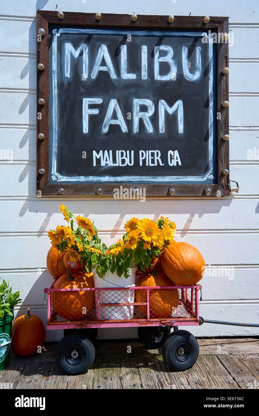 Malibu Farm signe sur un mur en bois avec un wagon rose plein de citrouilles et de fleurs jaunes ci-dessous. Décor saisonnier automnal à Malibu Pier, Californie. Banque D'Images