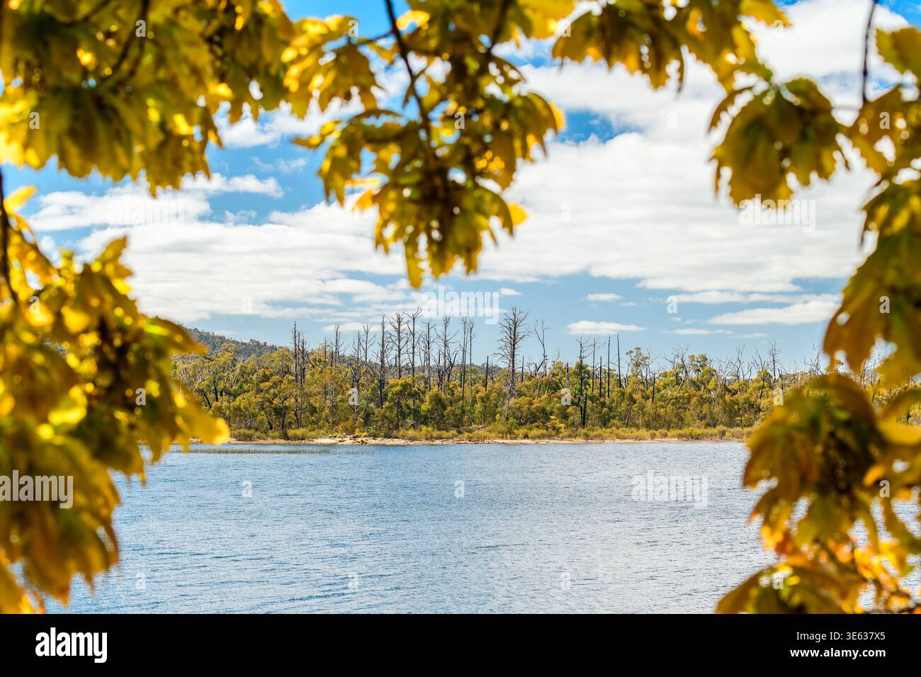 Lac Wartaké paysage de réservoir encadré par des feuilles d'arbres dans le parc national des Grampians, Victoria, Australie. Eau calme et montagnes environnantes sous nat Banque D'Images