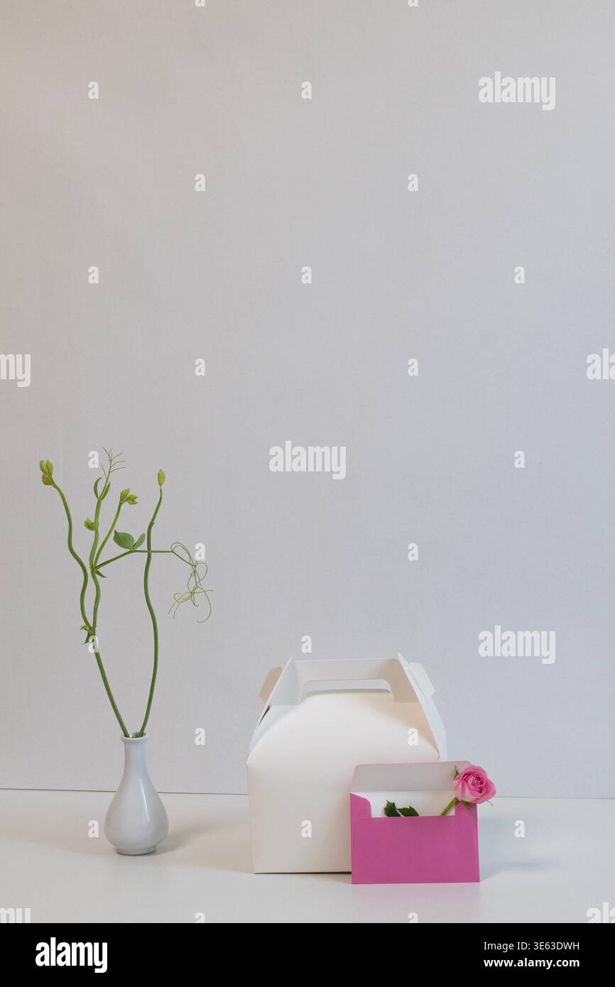 Boîte cadeau minimale avec enveloppe rose et fleur, composition élégante de nature morte avec espace de copie Banque D'Images