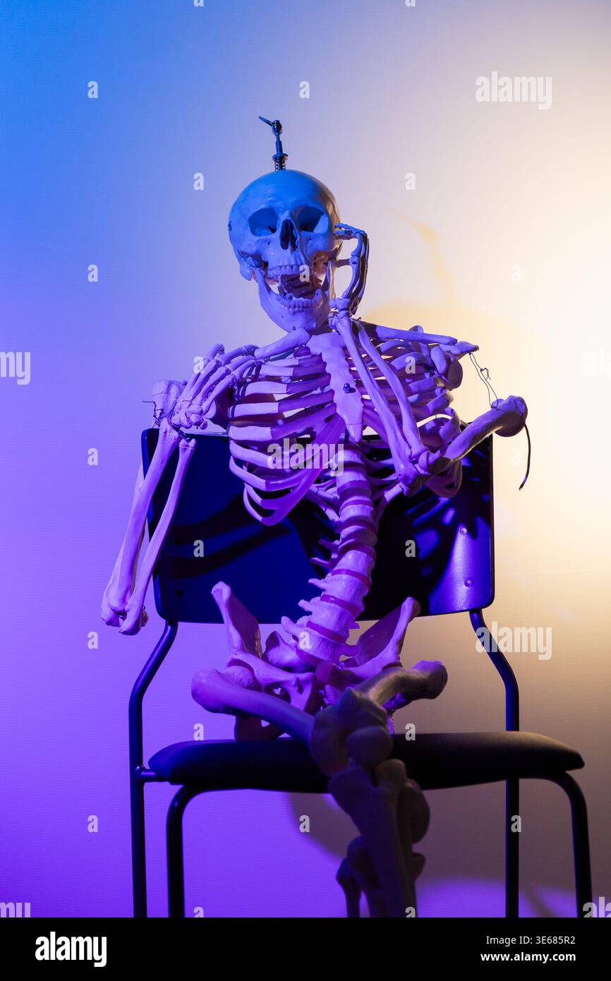 Un modèle de squelette humain est assis sur une chaise noire, illuminé par des lumières violettes, bleues et jaunes vibrantes. Banque D'Images