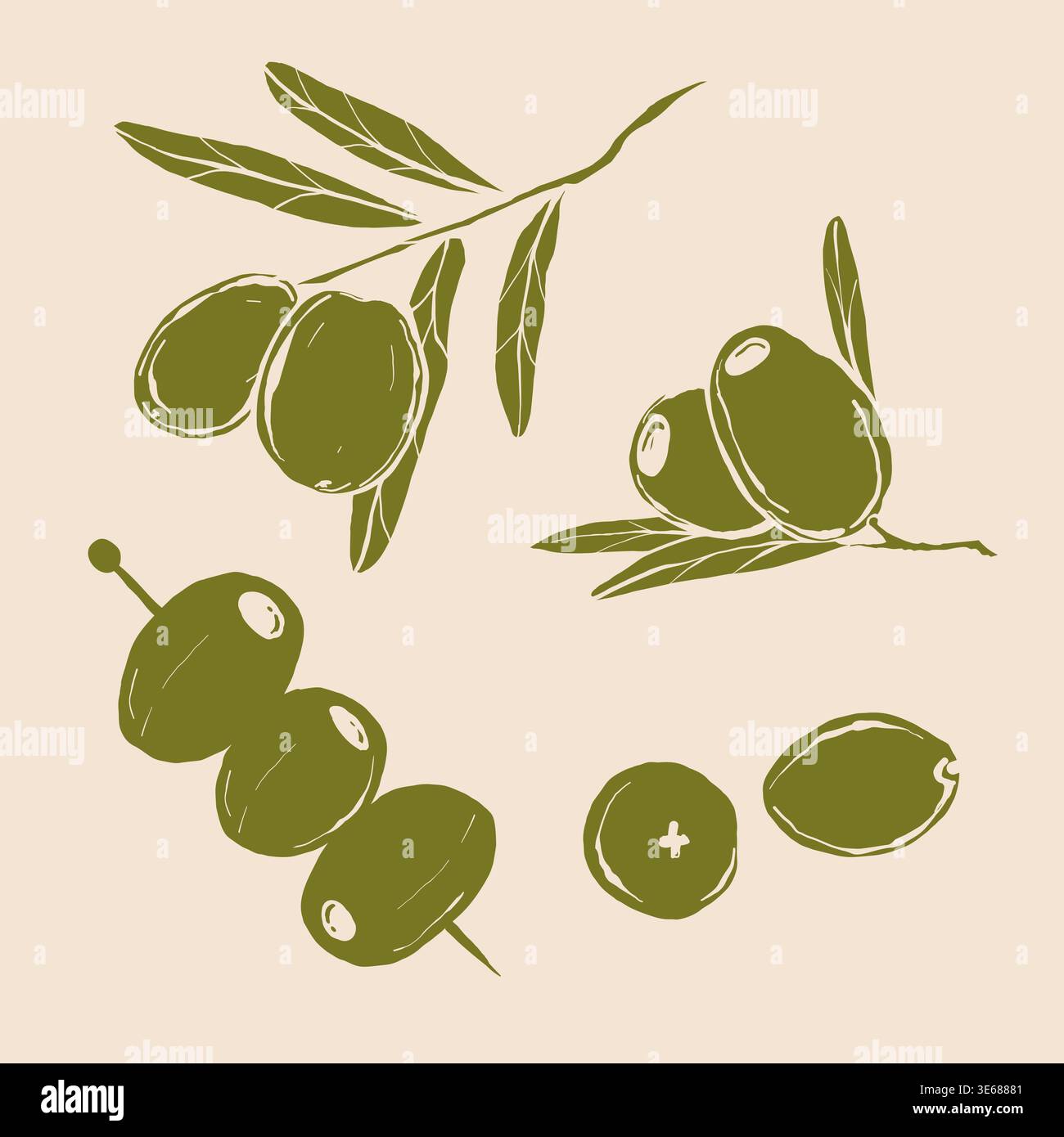Olives vertes serrées réalistes, branche d'olivier avec des feuilles vertes. Éléments pour cosmétique, nourriture, annonces, conception d'huile Illustration de Vecteur