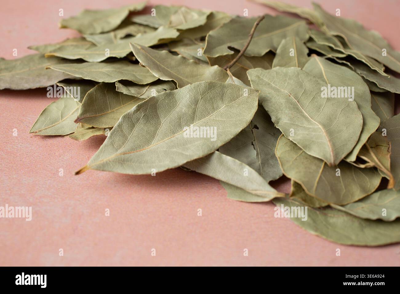 Vue rapprochée d'un tas de feuilles de laurier séchées. Banque D'Images