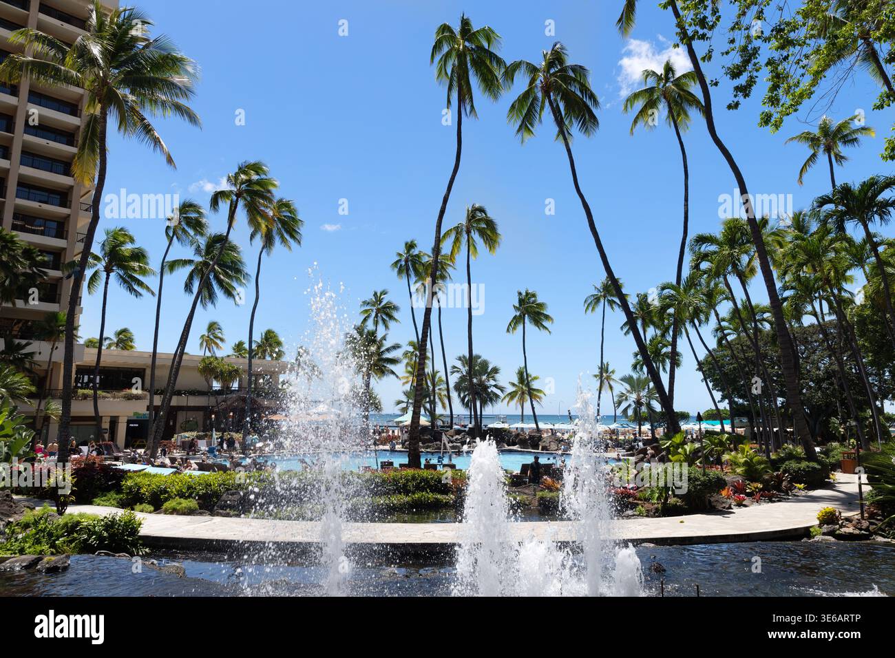 Piscine de l'hôtel et jardin tropical avec palmiers et vue sur l'océan à Waikiki, Honolulu, Oahu, Hawaï, États-Unis Banque D'Images