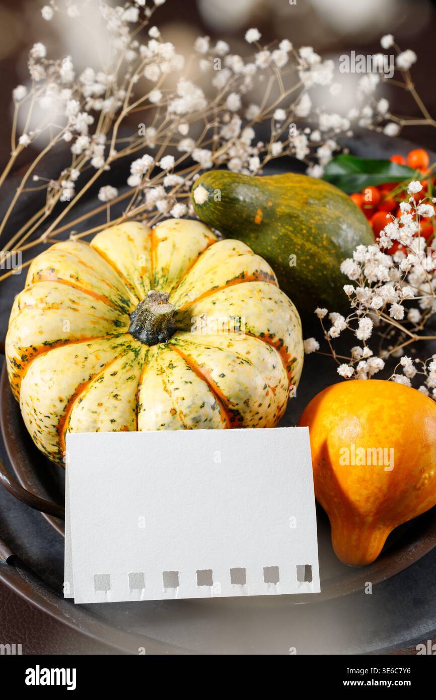 Nature morte de vacances d'automne avec du papier blanc, des citrouilles sur une assiette vieillie avec un espace de copie. Carte d'action de grâce joyeuse Banque D'Images