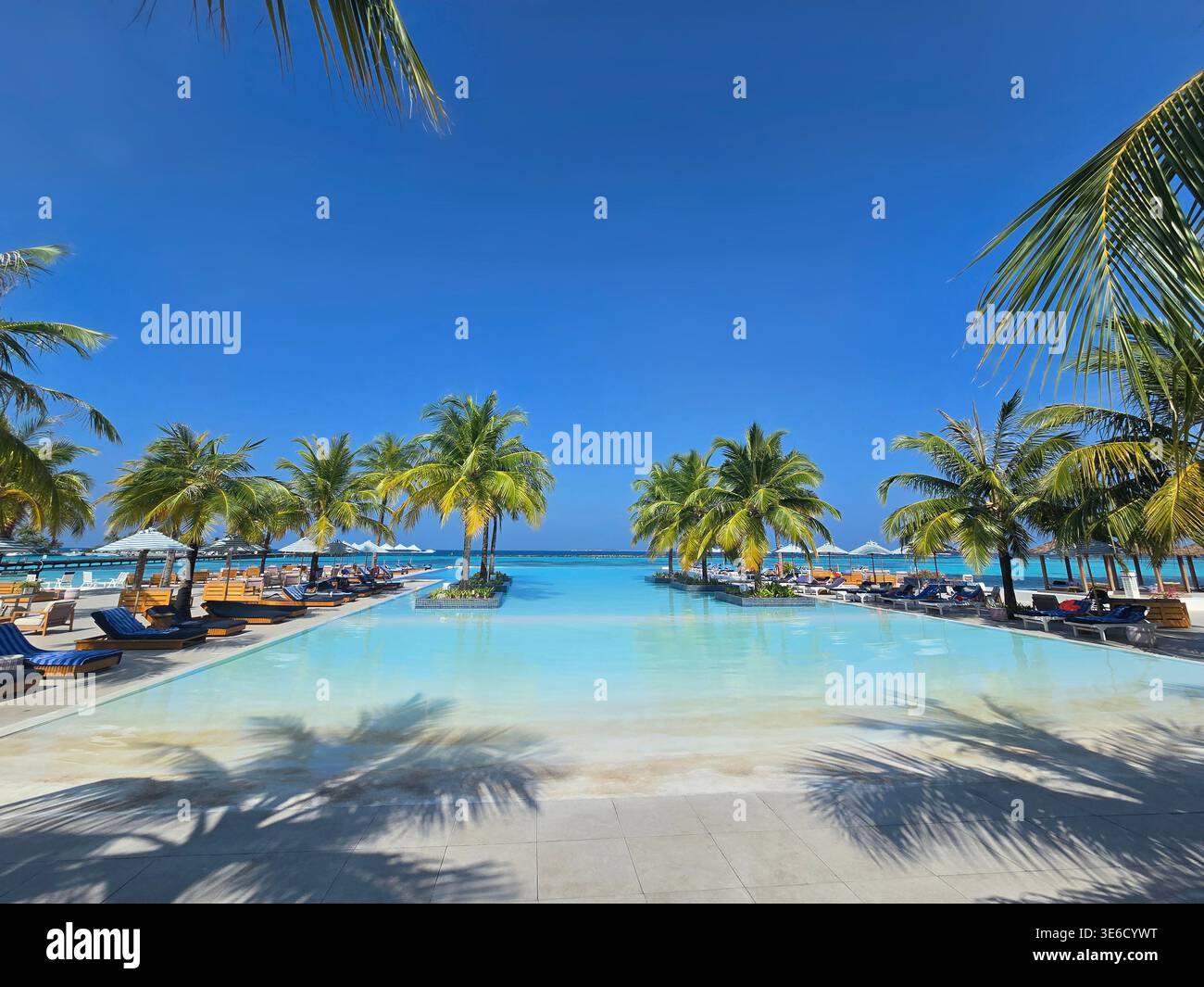Cette destination tropicale montre des eaux claires et des palmiers avec des villas sur l'eau au loin par une journée ensoleillée aux Maldives. Banque D'Images