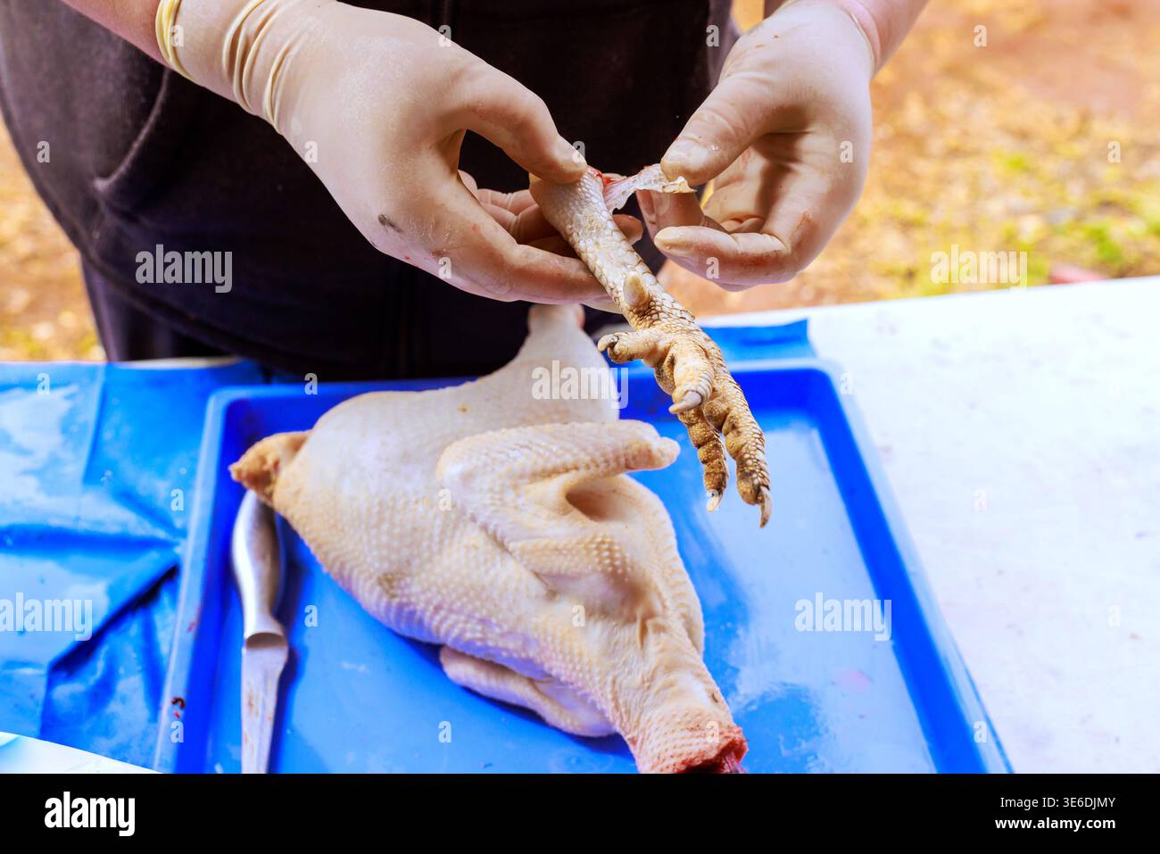 Le boucher utilise des gants pour enlever la peau des pattes de poulet au stand du marché pendant la préparation des aliments. Banque D'Images
