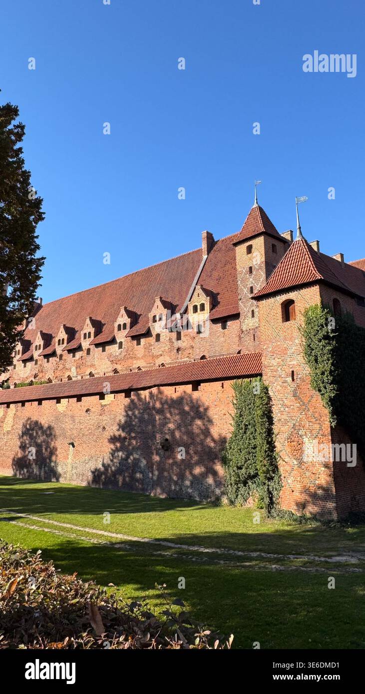 Château de Malbork en Pologne avec de longues tours de mur défensives en briques rouges et des toits de tuiles sous un ciel bleu clair vu de la zone herbeuse. Architecture, histoire Banque D'Images