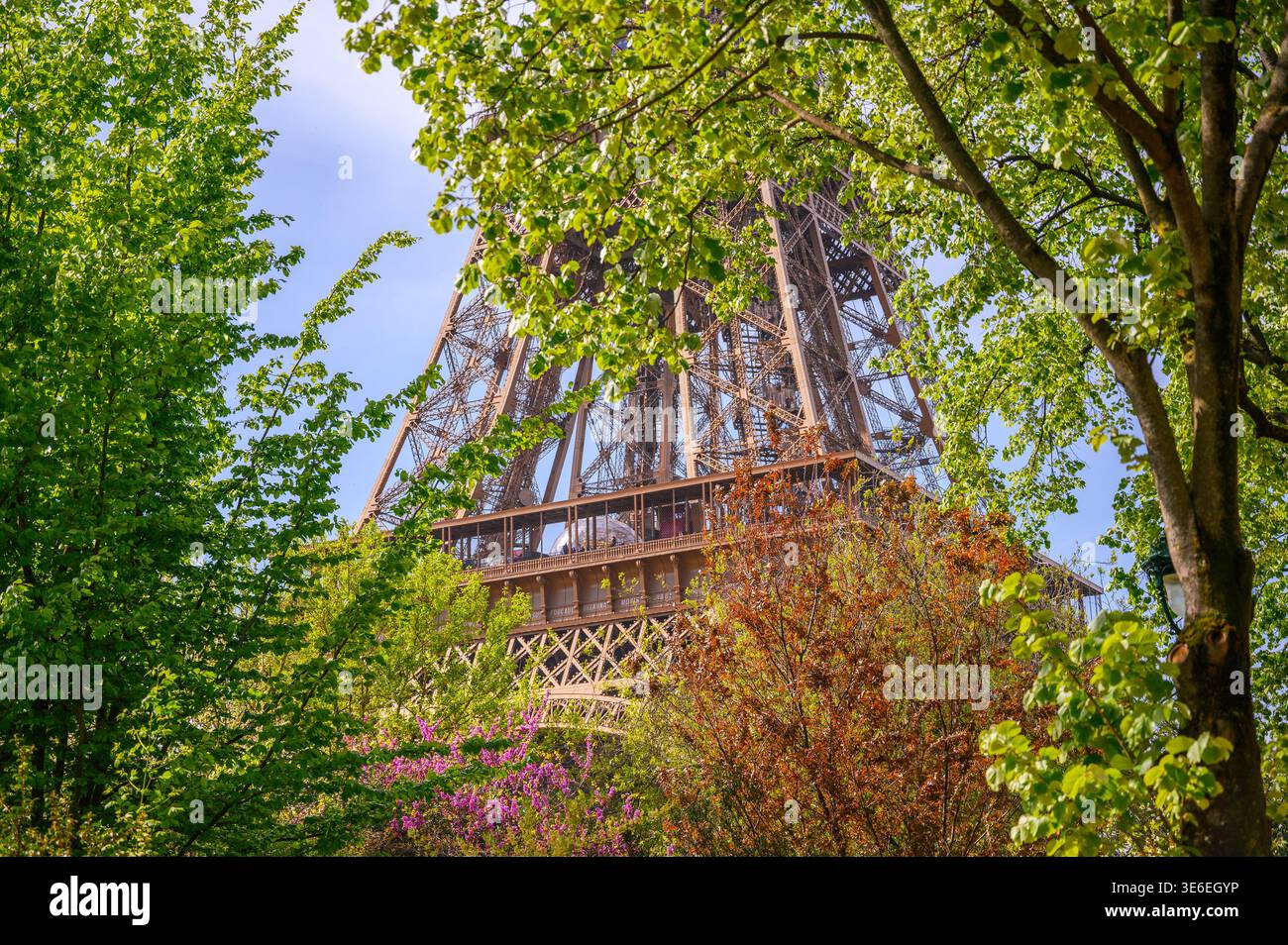 Tour Eiffel regardant à travers les arbres verdoyants au printemps Paris Banque D'Images