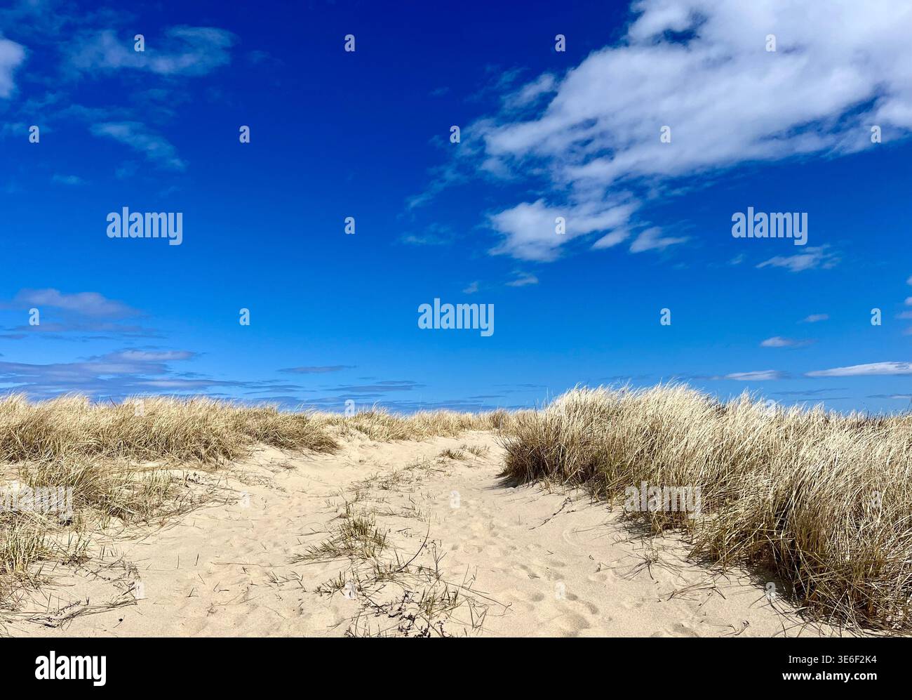 Sentier de sable à travers les dunes de sable près de Dune Shacks Trail à Cape Cod National Seashore, Provincetown, Massachusetts. - Image de stock capturée avec un smartphone