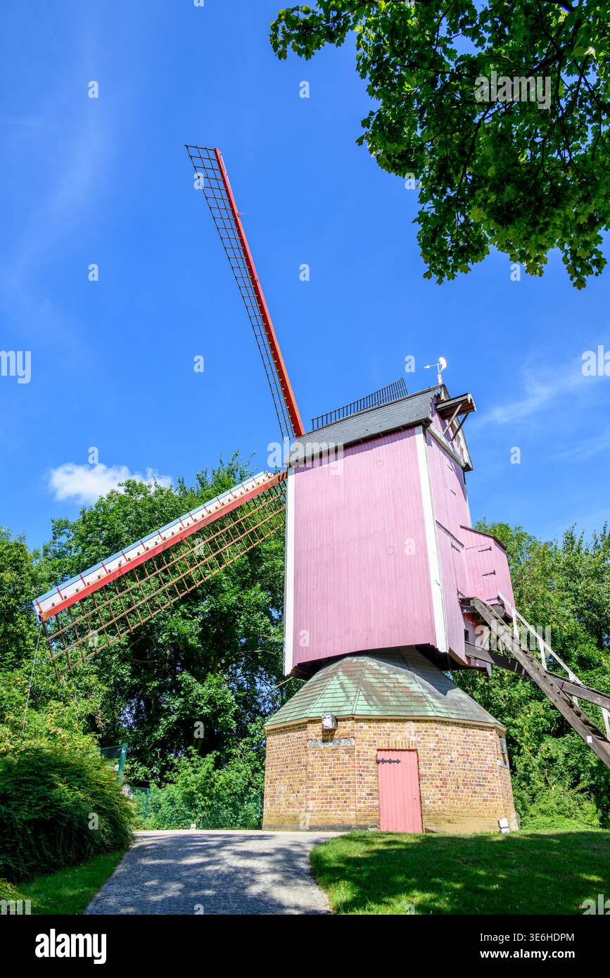 Moulin à vent traditionnel historique avec corps en bois rose et voiles en treillis rouge, base en briques et toit vert, situé dans un parc luxuriant sous un ciel bleu vif d'été. Banque D'Images