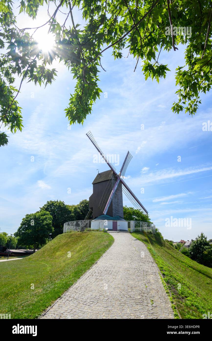 Moulin à vent traditionnel en bois sur une colline herbeuse avec chemin pavé, feuilles vertes ensoleillées encadrant un ciel bleu vif, paysage rural paisible, espace de copie. Banque D'Images