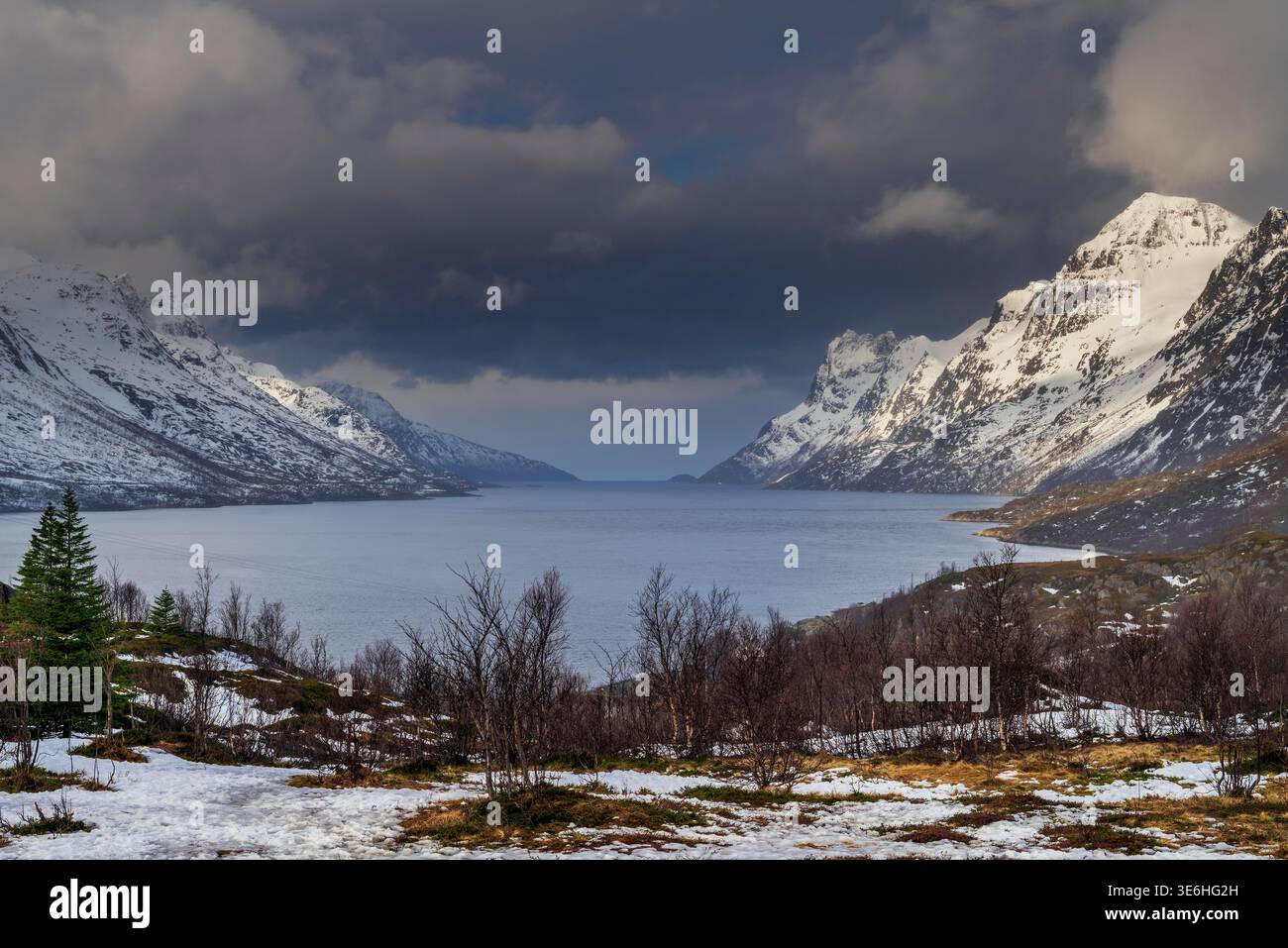Vue panoramique hivernale du fjord Ersfjorden, Ersfjordbotn, Troms, Norvège Banque D'Images