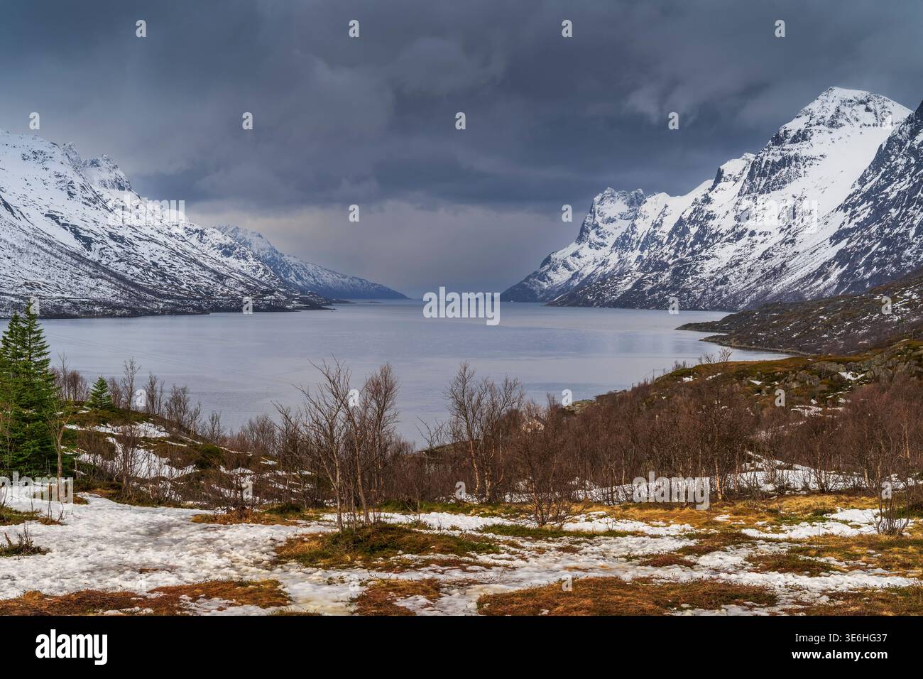 Vue panoramique hivernale du fjord Ersfjorden, Ersfjordbotn, Troms, Norvège Banque D'Images
