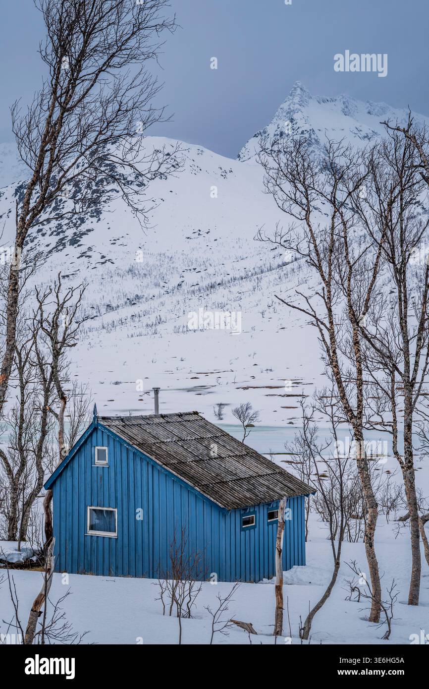Cabane en bois dans le paysage enneigé, Kattfjordvatnet, Troms, Norvège Banque D'Images