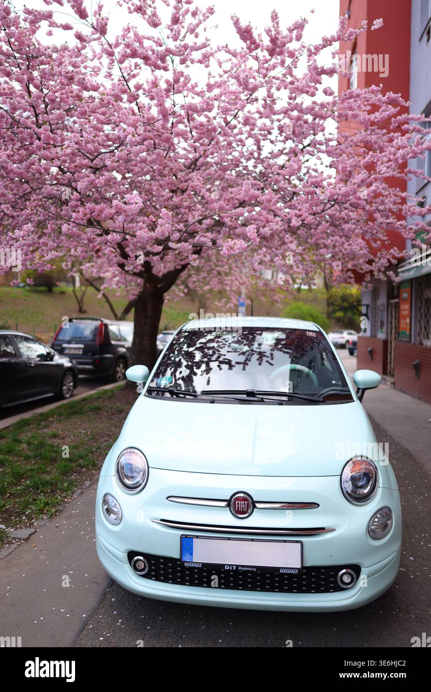 Prague, République tchèque, 3 avril 2026 : voiture compacte vert menthe garée sous un cerisier fleuri dans une rue résidentielle calme. Banque D'Images