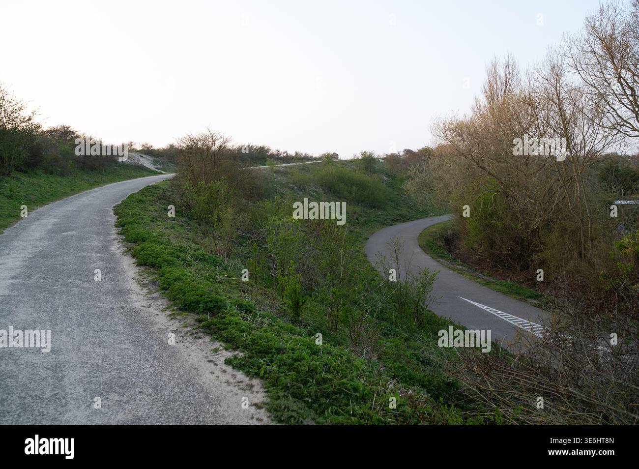 Sentiers tranquilles divergeant à travers des paysages herbeux avec des zones boisées et des feuilles d'automne Banque D'Images